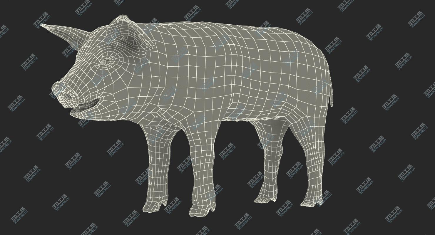 images/goods_img/202104091/Pig Piglet Landrace with Fur Rigged 3D model/5.jpg